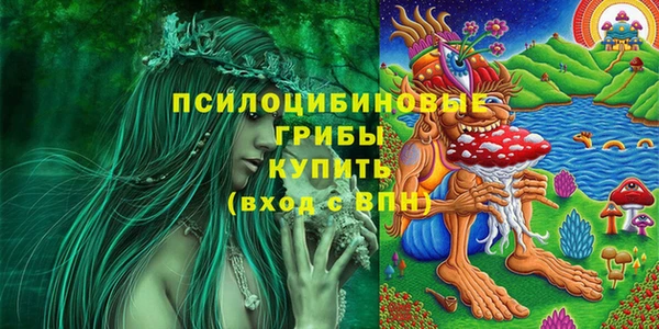 2c-b Белоозёрский
