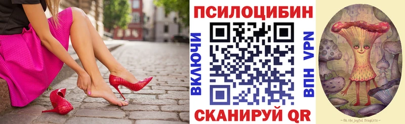 дарк нет наркотические препараты  Дальнегорск  Галлюциногенные грибы MAGIC MUSHROOMS  где купить наркоту 